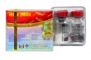 HCG 5000IU (Canada) 1 флакон