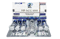 HP-hCG 1000 (ZPHC) упаковка 5 флаконов (1000IU x 5) HP-hCG 1000 (ZPHC) упаковка 5 флаконов (1000IU x 5)