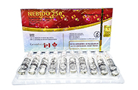 Nebido 250 (Canada) ампула 1ml Nebido 250 (Canada) ампула 1ml