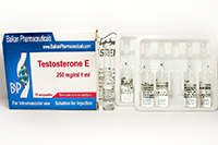 Testosterone Enanthate (Enandrol) Balkan 1ml